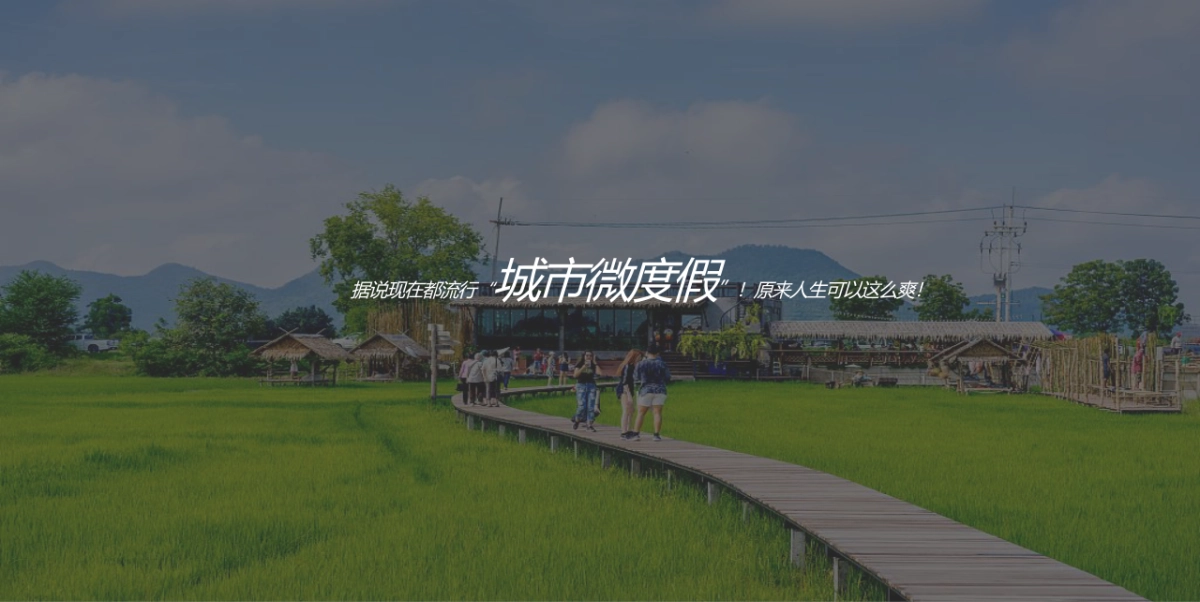 2022城市露营“润式新生活  城市微度假”主题活动策划方案_第4页