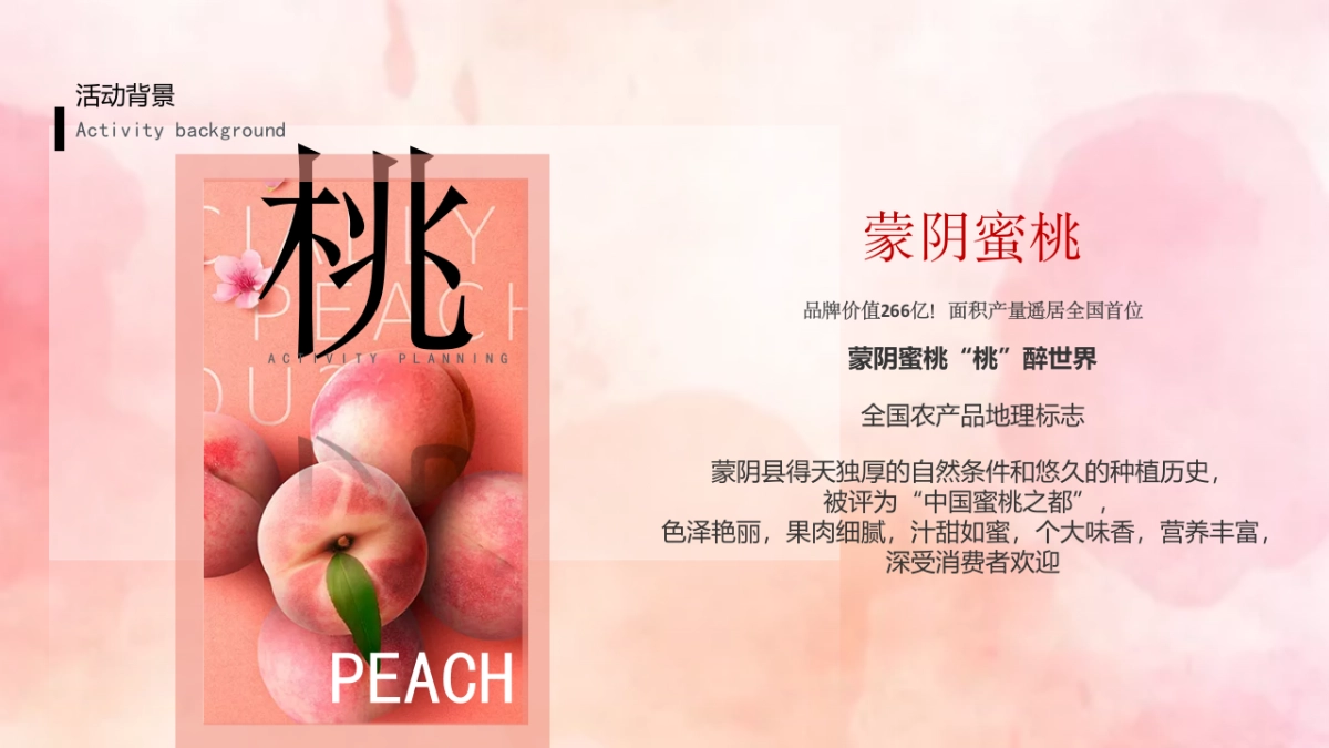2022城市夏日蜜桃节系列”桃气满满 甜蜜来袭“活动策划方案_第4页