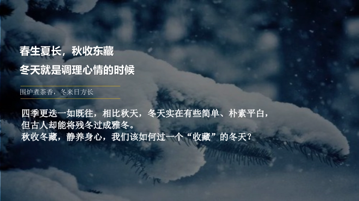 2022初冬雅集  围炉滨江主题冬季暖场活动策方案_第4页