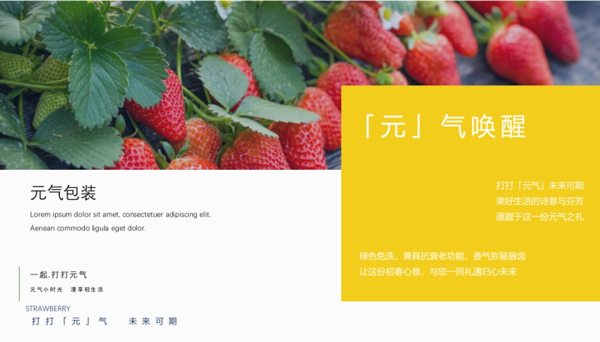 2022春日「元」气唤醒元气计划主题活动策划方案_第10页