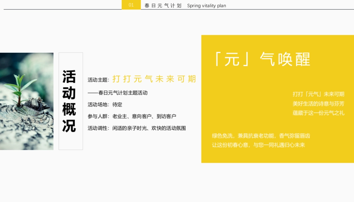 2022春日「元」气唤醒元气计划主题活动策划方案_第6页
