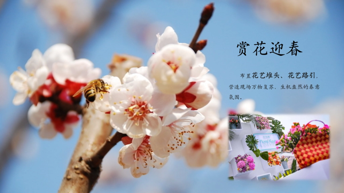 2022春日4-6月系列暖场（赴一场春约 赏一场春时主题）活动策划方案_第5页