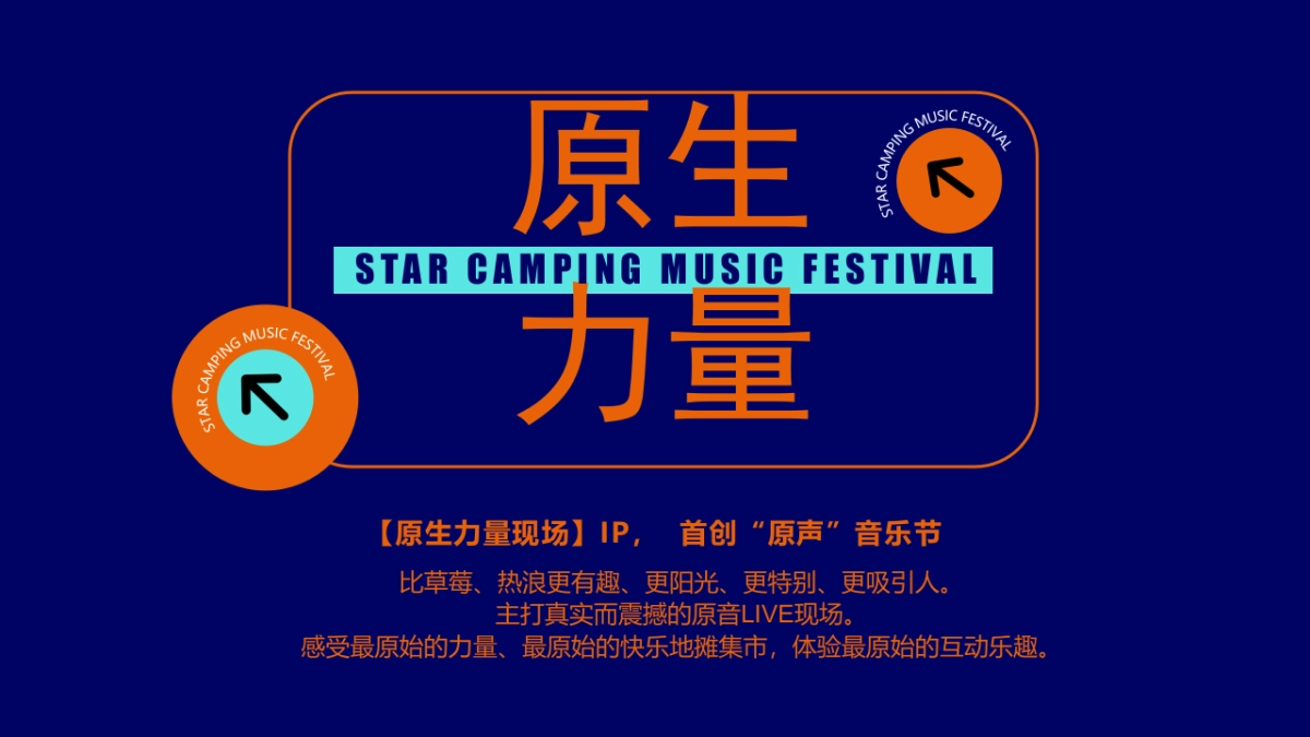2022第一届星空露营音乐节主题活动策划方案_第7页