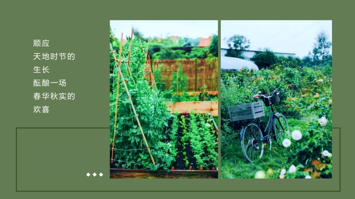 2022金秋露营亲子农场撒欢儿季“秋田月下”活动策划方案_第4页