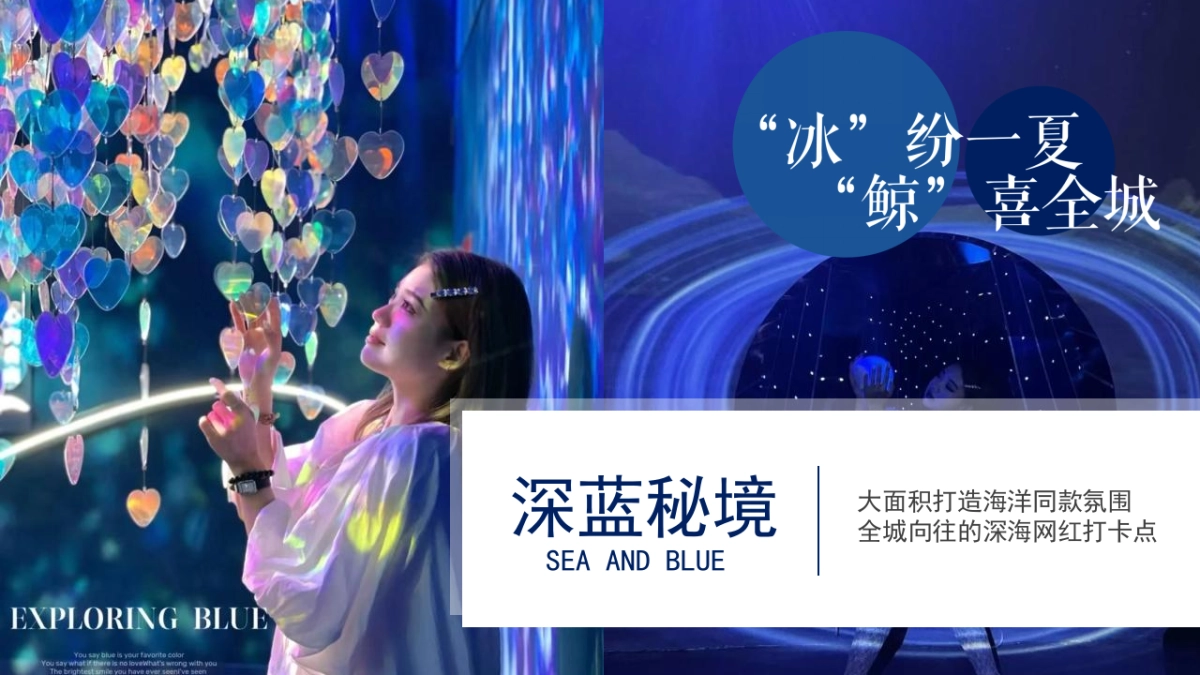 2022年7-8月暑期暖场（“冰”纷一夏 “鲸”喜全城）海洋主题乐园活动策划方案_第5页