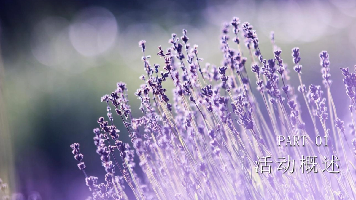 2022汽车品牌嗨玩仲夏露营音乐节夏日营销活动_第8页