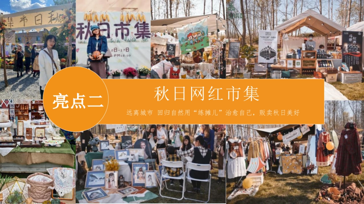 2022秋日露营主题游园会活动策划_第10页