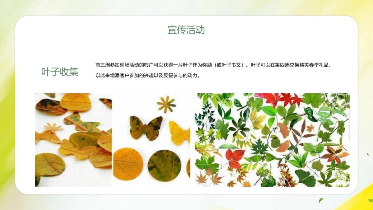 2022三月主题系列暖场（踏春趣主题）活动策划方案_第7页