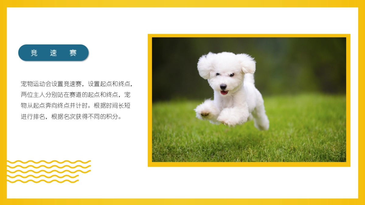 2022商场十月萌宠的告白主题活动策划方案_第10页