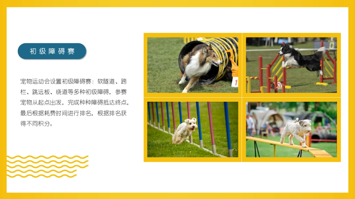 2022商场十月萌宠的告白主题活动策划方案_第9页