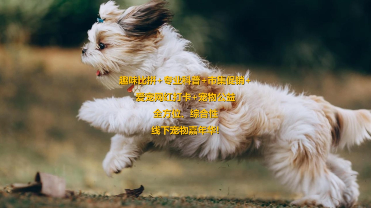 2022商业购物中心宠物主题市集嘉年华“萌宠夏日”主题活动策划方案_第10页