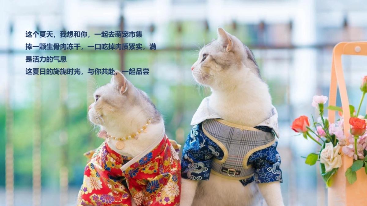 2022商业购物中心宠物主题市集嘉年华“萌宠夏日”主题活动策划方案_第5页