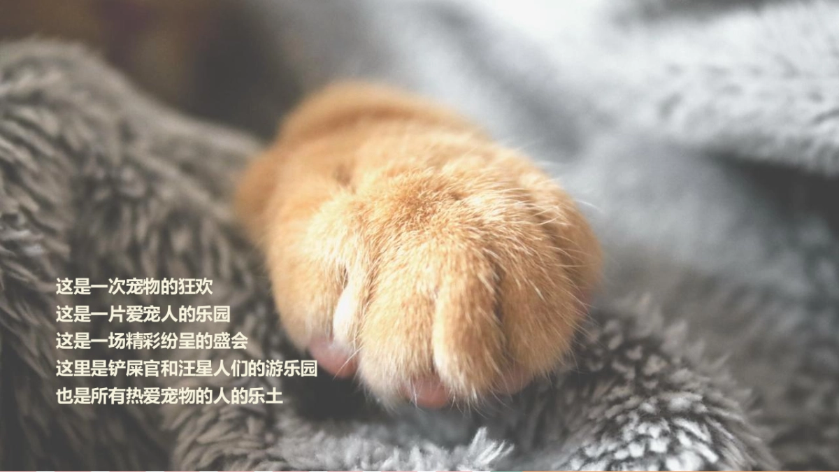 2022商业购物中心宠物主题市集嘉年华“萌宠夏日”主题活动策划方案_第6页