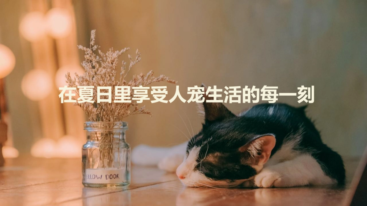 2022商业购物中心宠物主题市集嘉年华“萌宠夏日”主题活动策划方案_第7页