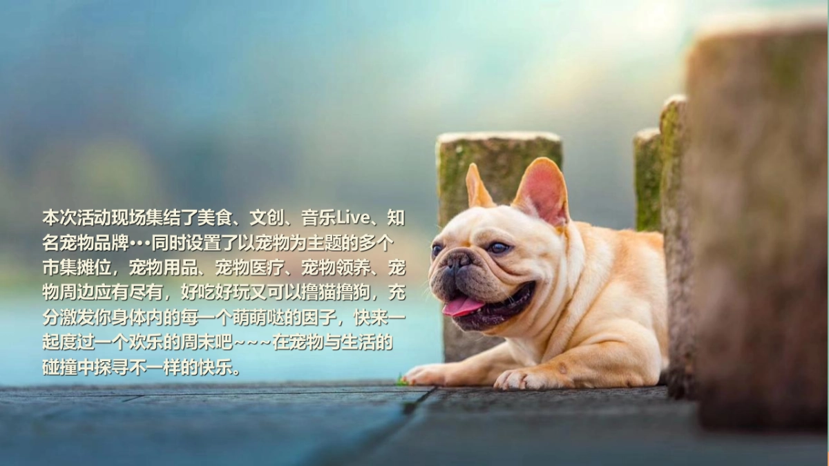 2022商业购物中心宠物主题市集嘉年华“萌宠夏日”主题活动策划方案_第9页