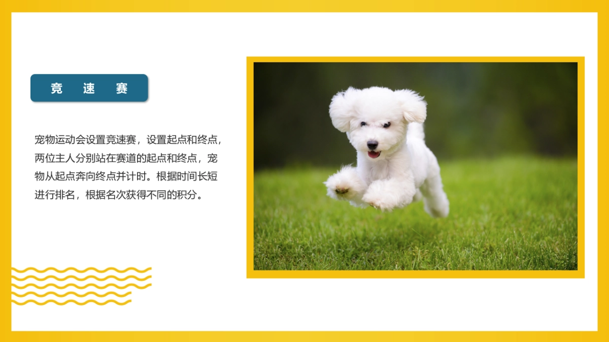 2022商业购物中心十月月度特别企划“萌宠的告白”主题活动策划方案_第10页