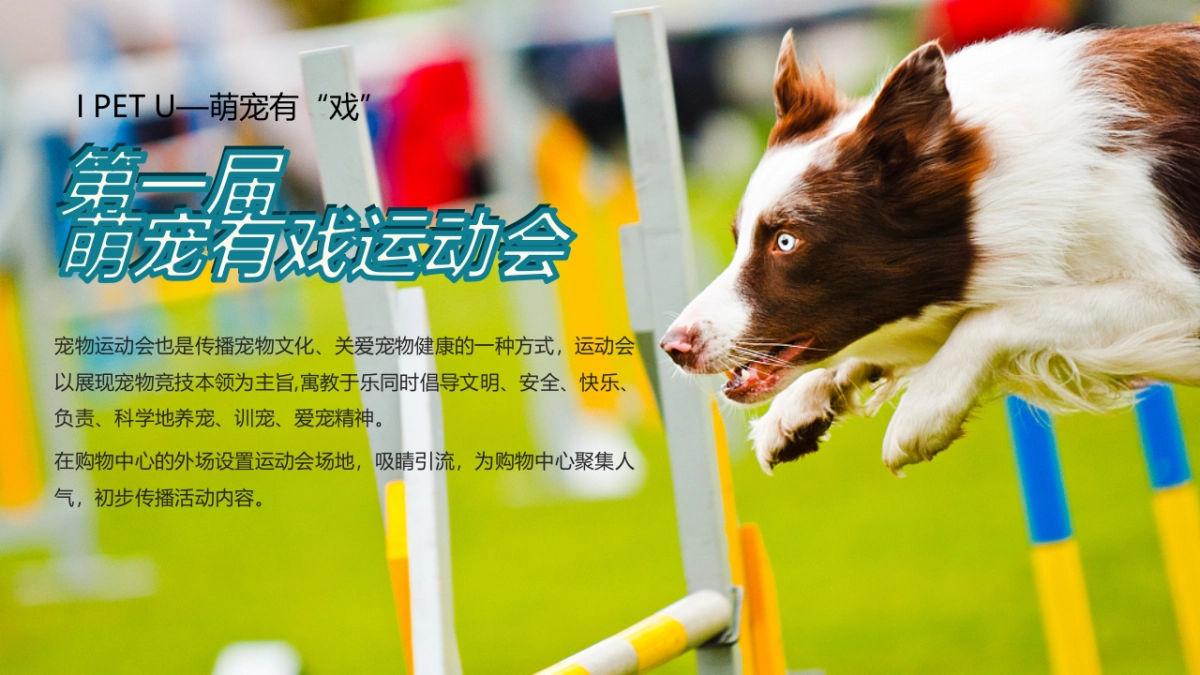 2022商业购物中心十月月度特别企划“萌宠的告白”主题活动策划方案_第7页