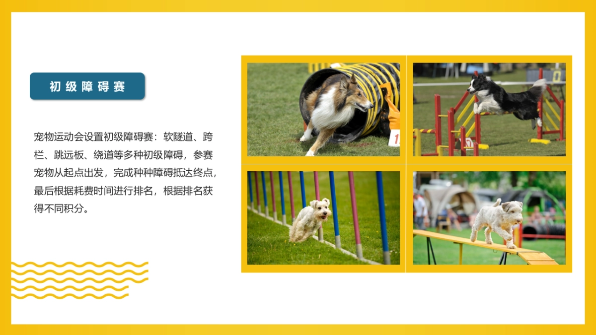 2022商业购物中心十月月度特别企划“萌宠的告白”主题活动策划方案_第9页