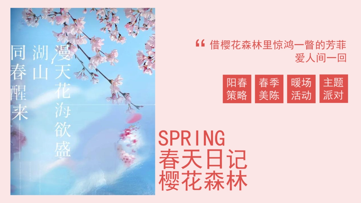 2022-商业广场春天日记大型主题樱花节活动策划方案-33页_第3页