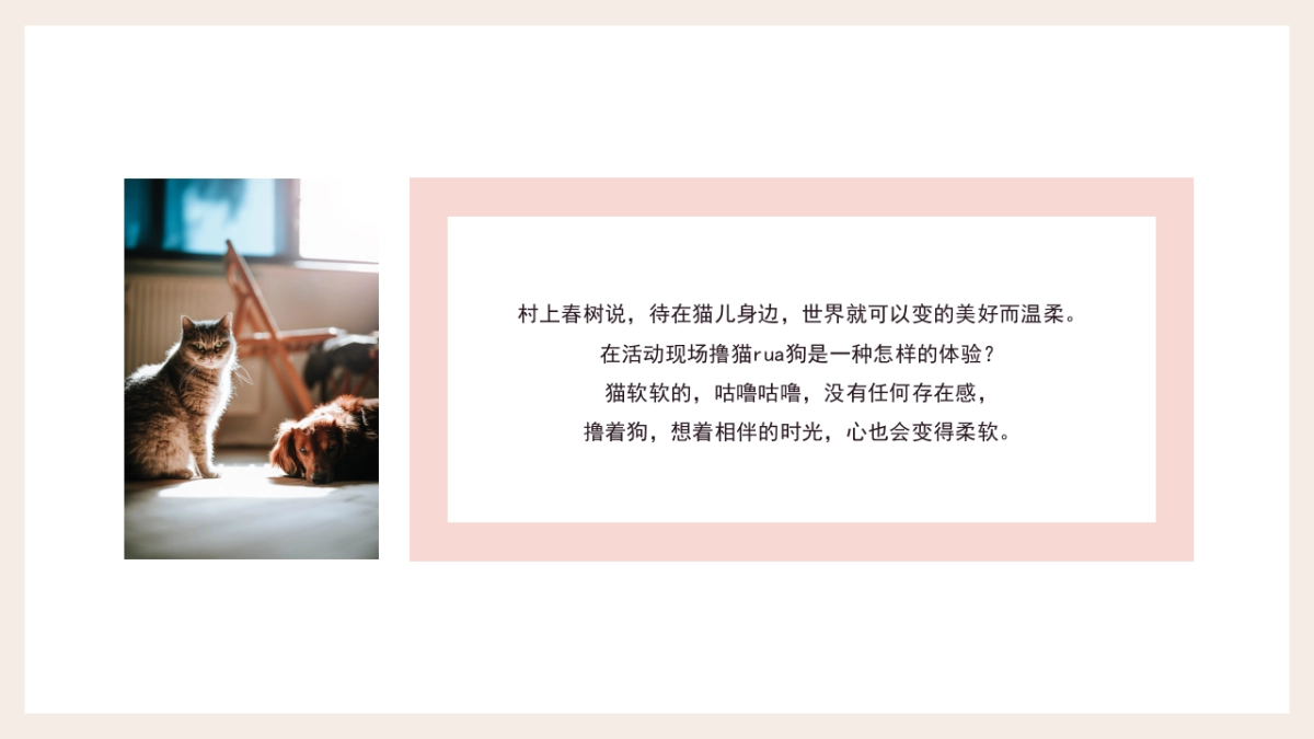 2022商业广场月度（萌宠秀场主题）活动推荐_第2页