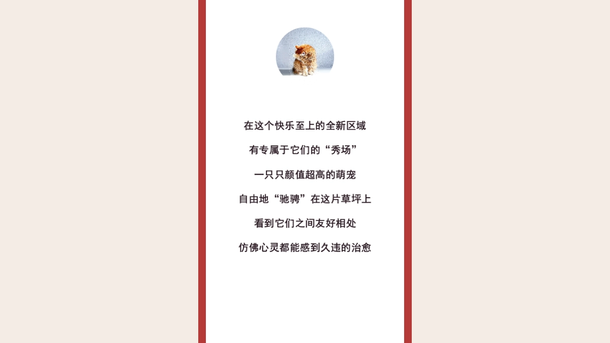 2022商业广场月度（萌宠秀场主题）活动推荐_第3页