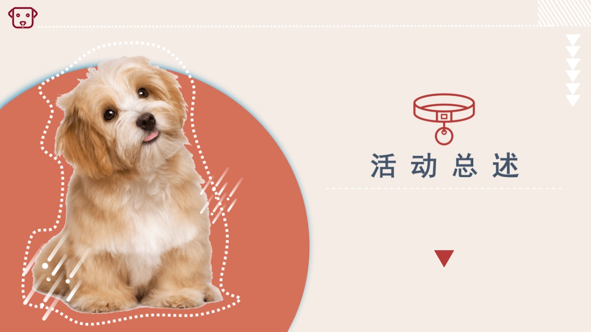 2022商业广场月度（萌宠秀场主题）活动推荐_第5页