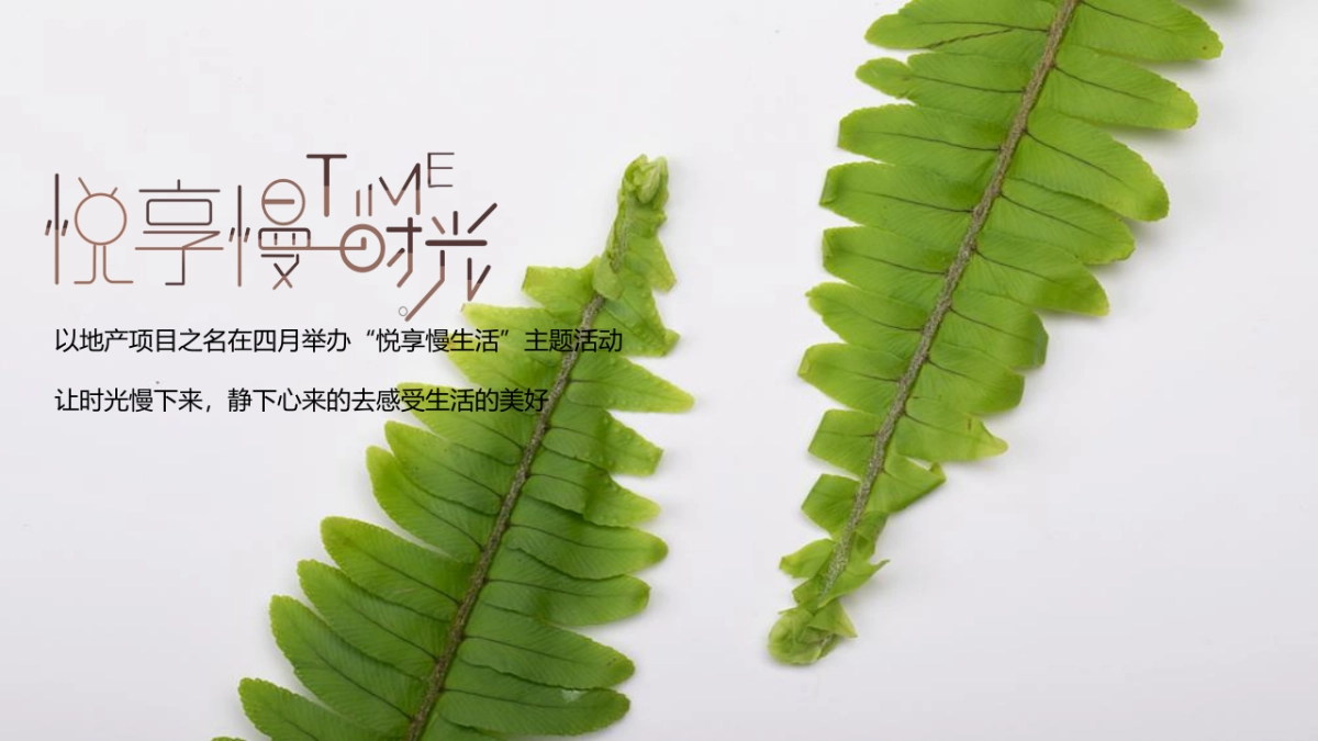 2022四月系列（悦享慢生活主题）活动策划方案_第4页