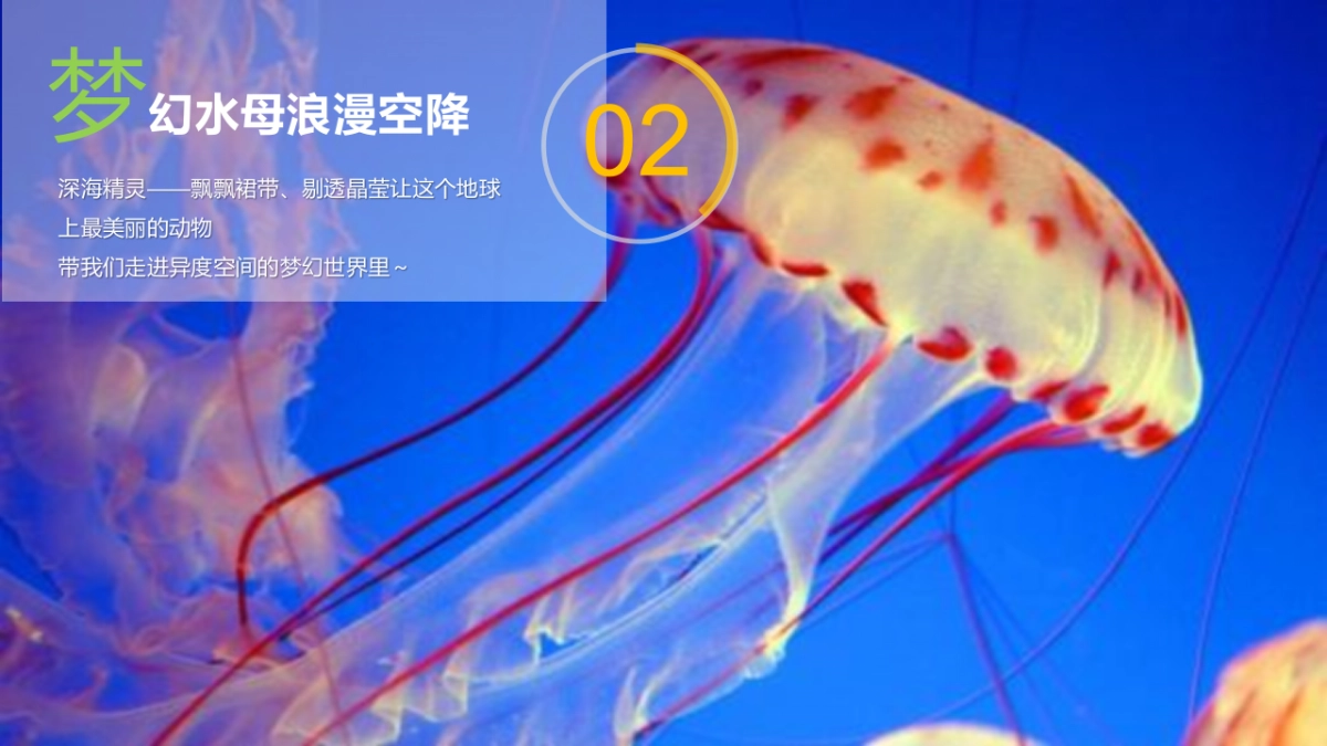 2022夏日海洋计划“渔乐无穷 玩转夏天”主题活动策划方案_第8页