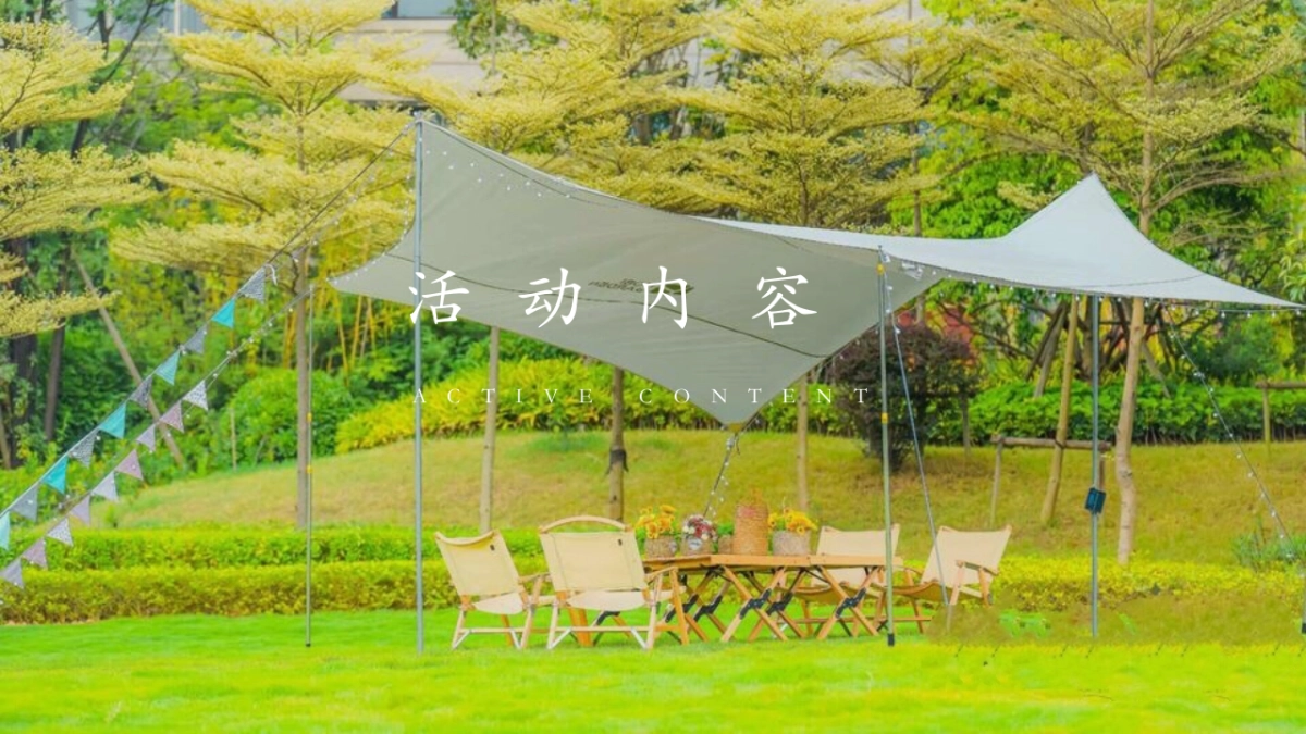 2022夏日露营季（院里趣野主题）活动策划方案_第9页