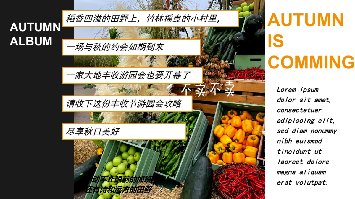 2022遇见秋日季 探索新趣意秋季主题户外农场秋收体验嘉年华活动策划方案_第4页