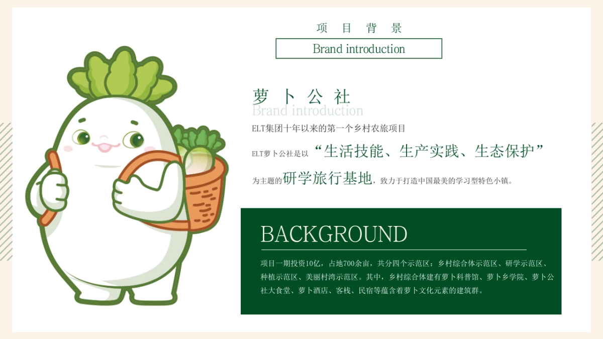 2023ELT萝卜公社景区年度萝卜嘉年华活动方案策划_第4页