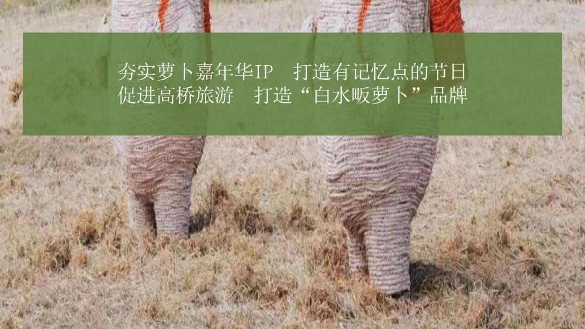 2023ELT萝卜公社景区年度萝卜嘉年华活动方案策划_第5页