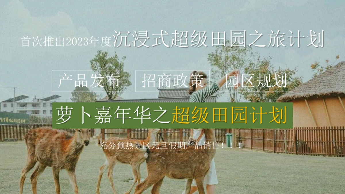 2023ELT萝卜公社景区年度萝卜嘉年华活动方案策划_第6页