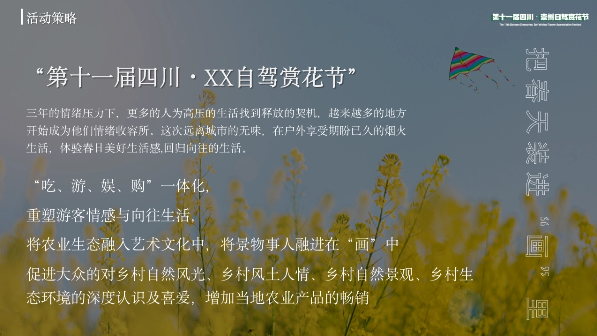 2023城市自驾赏花节“入画红桥·重逢自然”主题活动策划方案_第4页