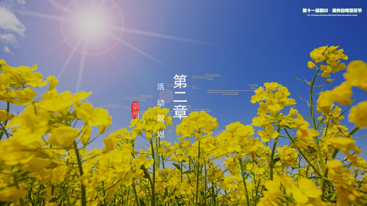 2023城市自驾赏花节“入画红桥·重逢自然”主题活动策划方案_第7页