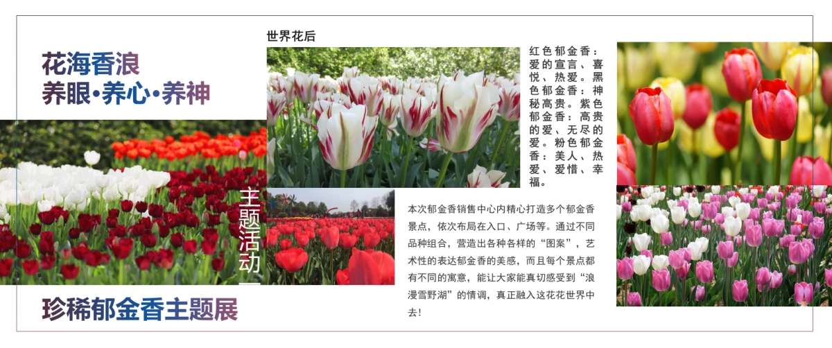 2023春季多彩四月月度主题活动策划方案_第5页