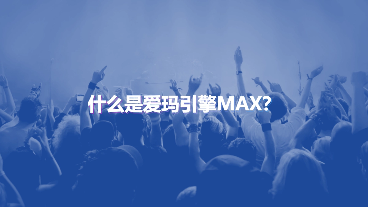 爱玛引擎MAXx打鱼晒网音乐之旅活动方案_第2页