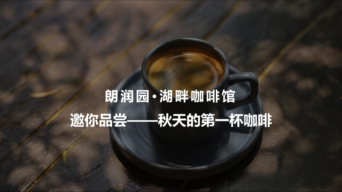 2023绿野咖啡生活节咖啡活动思路方案_第4页