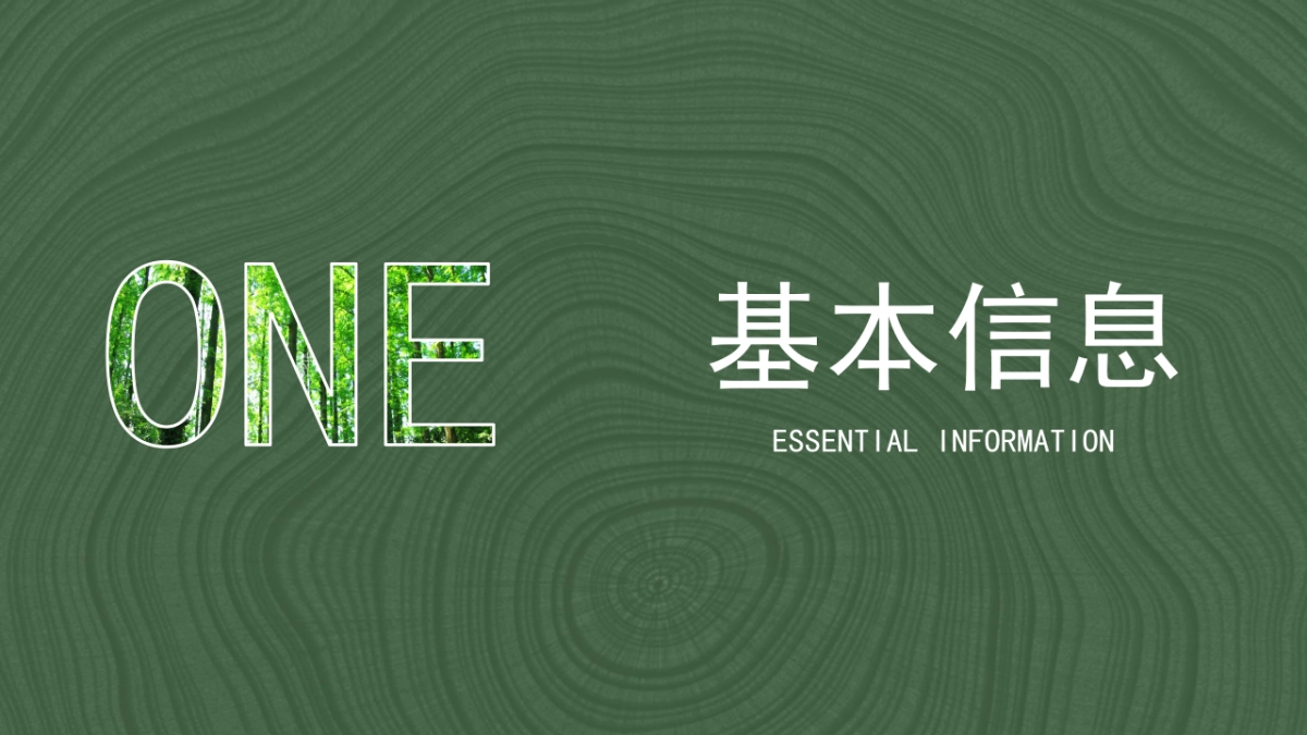 2023企业植树节“绿化地球·种植希望”活动策划方案_第2页