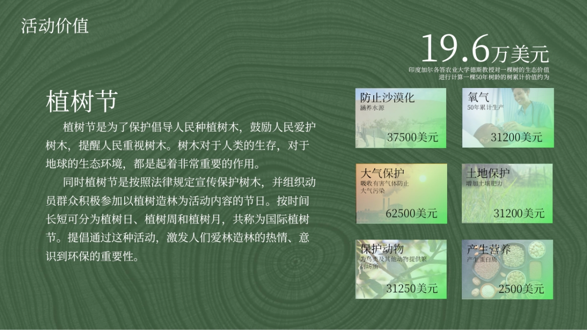 2023企业植树节“绿化地球·种植希望”活动策划方案_第4页
