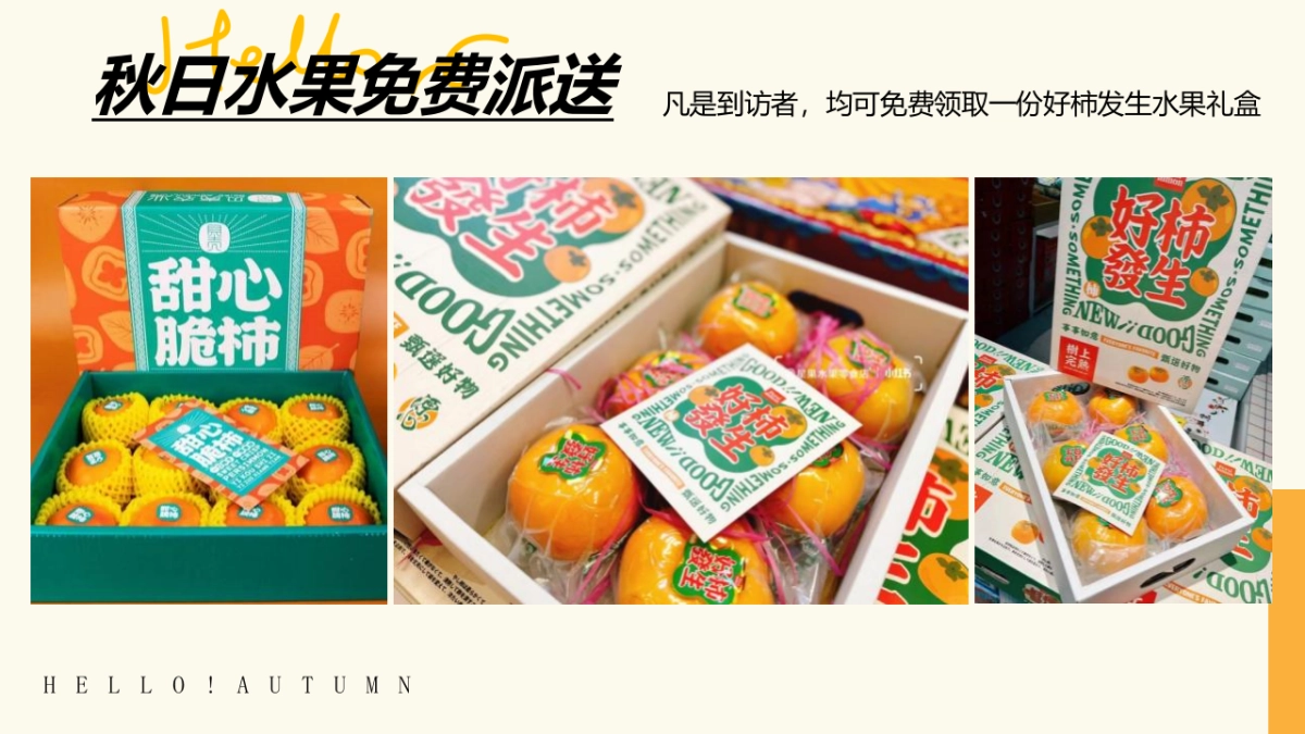 2023亲子露营计划“秋日出逃”主题活动策划方案_第9页