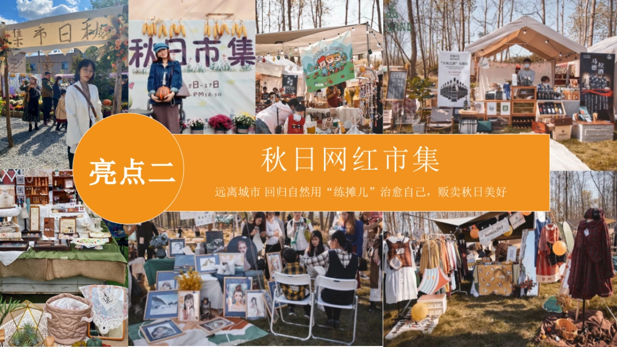 2023秋日露营主题游园会“初秋的晚风”主题活动策划方案_第10页