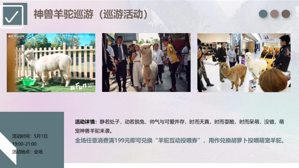 2023商业购物中心五月活动策划方案_第9页