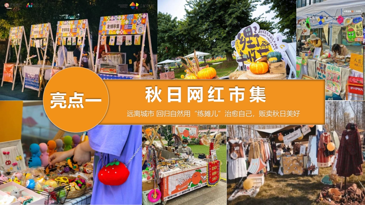 2023生活无解·FUN肆趣野秋日田野露营生活节主题活动策划方案_第9页