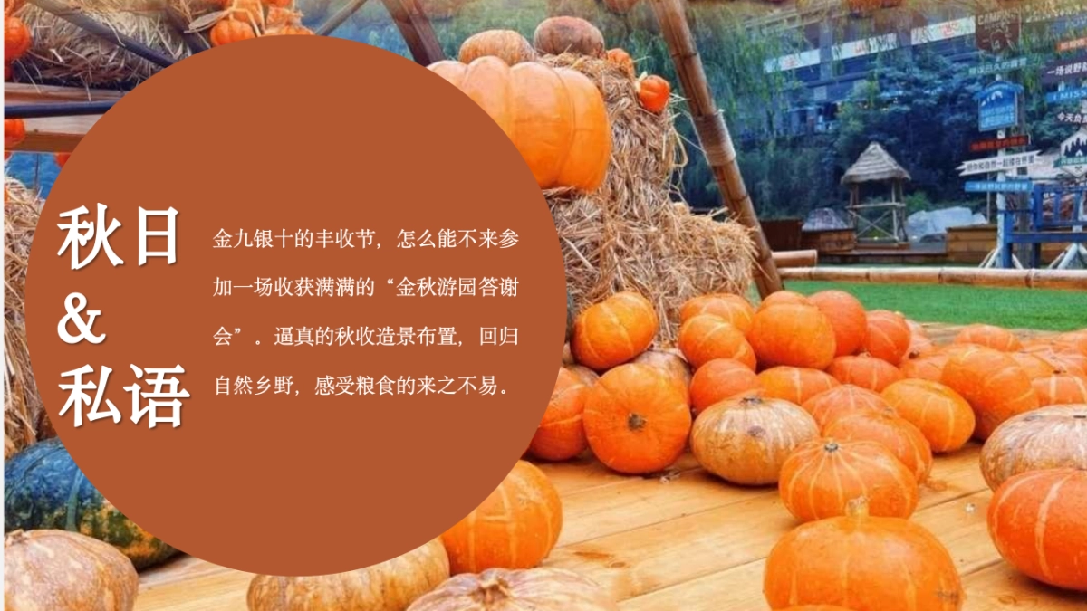 2023拾趣时光秋日漫游计划秋日秋季丰收节游园会嘉年华活动策划案_第3页