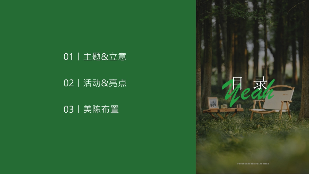 2023世纪金花城市春日露营计划“去野！去Yeah”活动策划方案_第2页