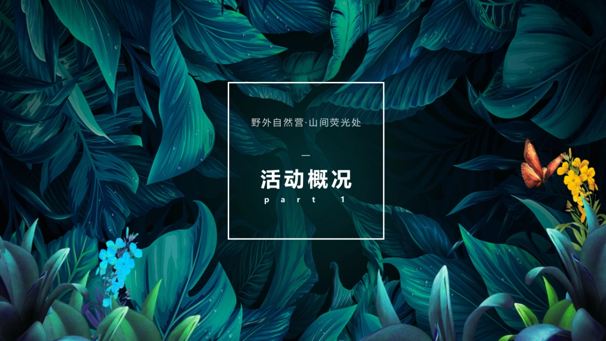 2023暑期自然童玩研学营“野外自然营·山间萤火处”主题活动策划方案_第5页