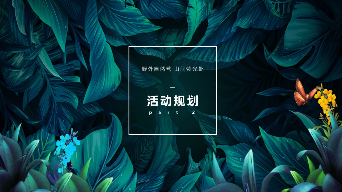 2023暑期自然童玩研学营“野外自然营·山间萤火处”主题活动策划方案_第8页