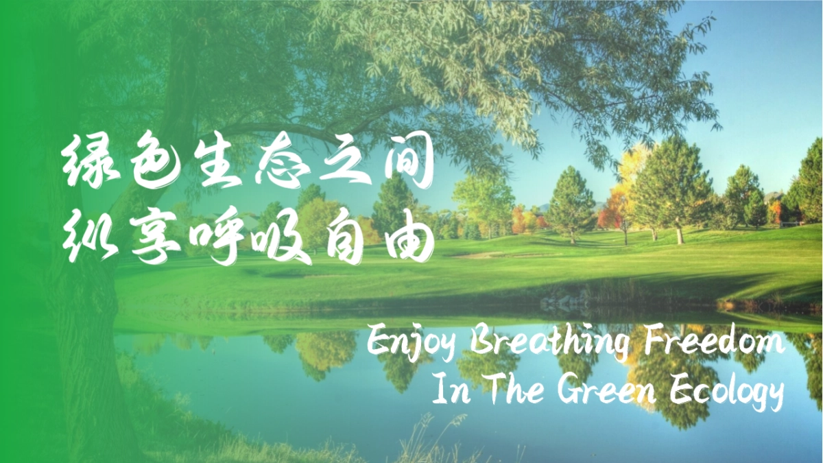 2023文旅景区草坪露营音乐节“新π之约”活动策划方案_第2页