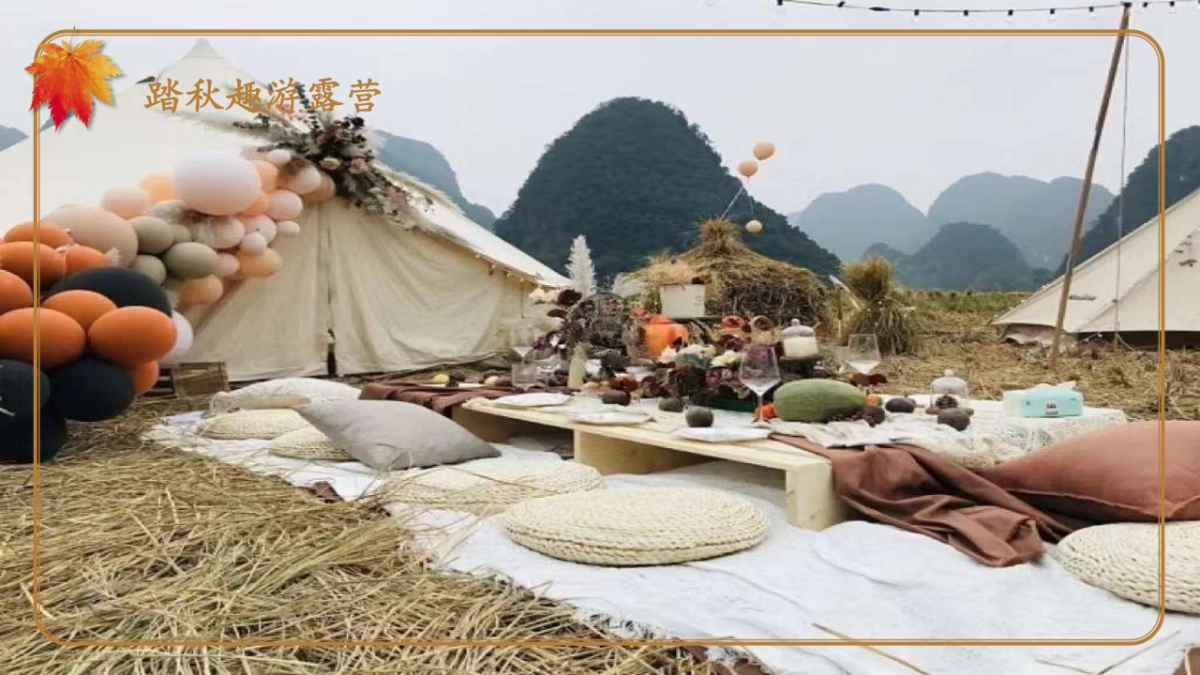 2023寻觅秋天秋季9-11月月度暖场户外露营系列活动方案_第8页